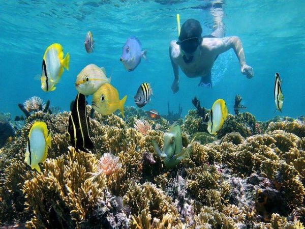 Nha Trang Snorkeling Tour BBQ Onboard